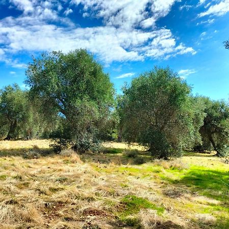 Agriturismo Lillastro Braccagni エクステリア 写真