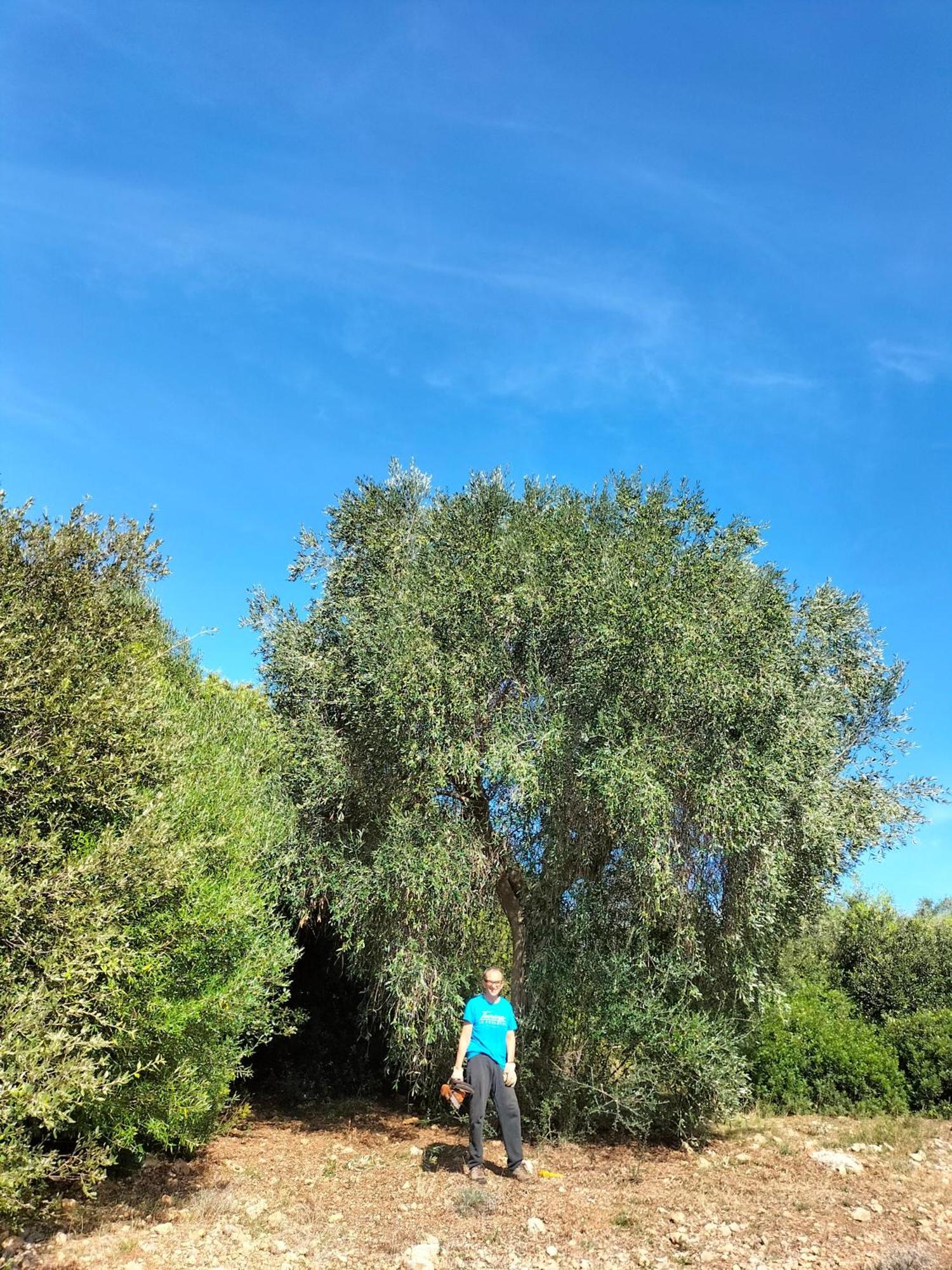 Agriturismo Lillastro Braccagni エクステリア 写真