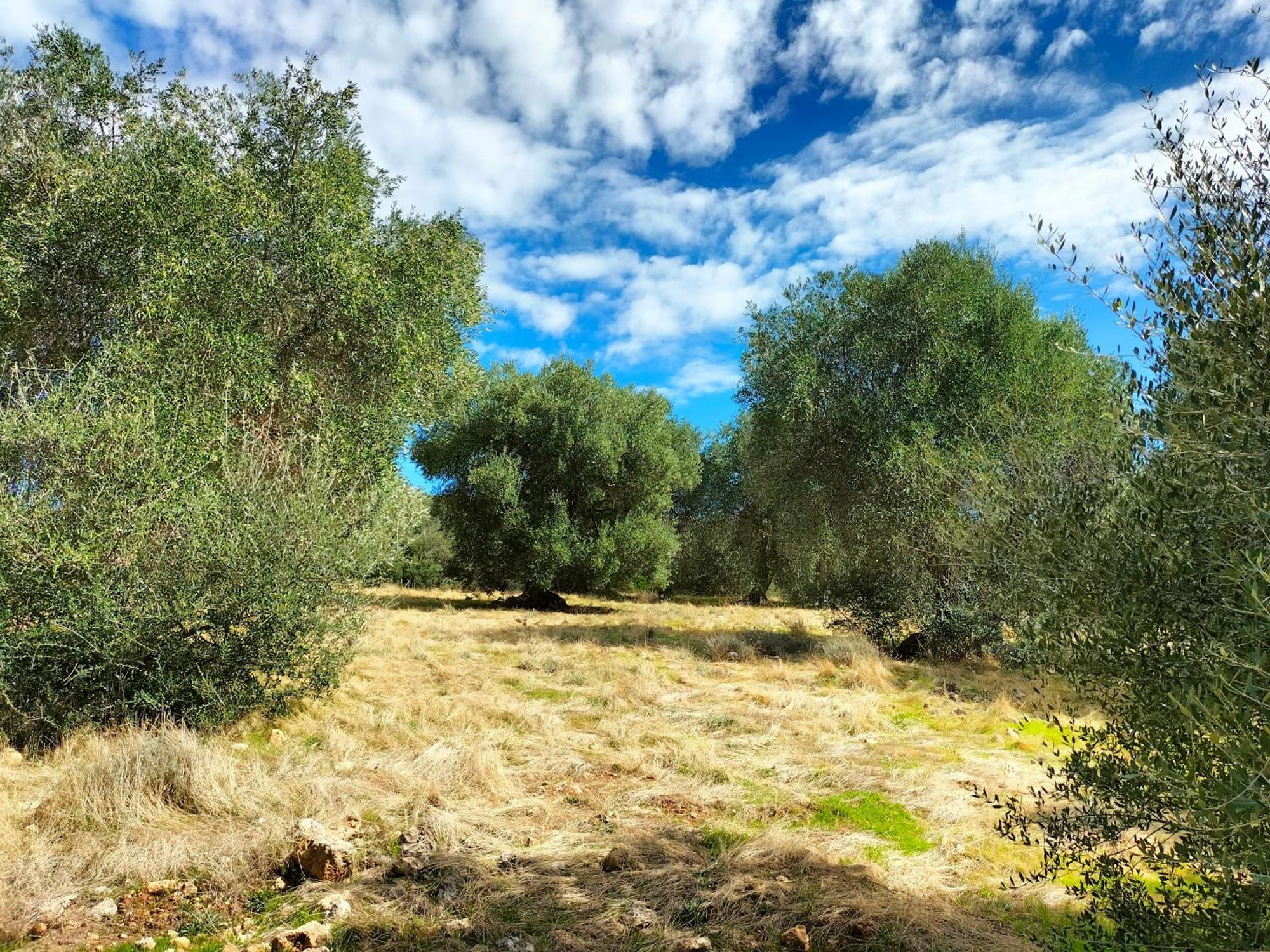 Agriturismo Lillastro Braccagni エクステリア 写真