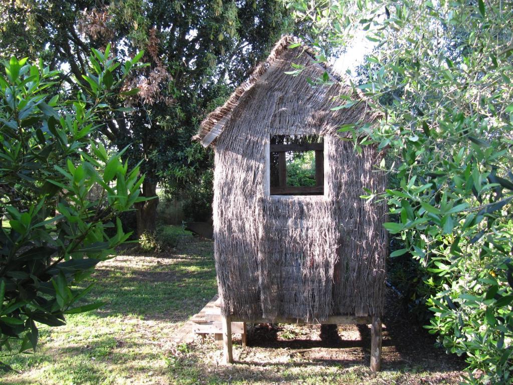 Agriturismo Lillastro Braccagni エクステリア 写真