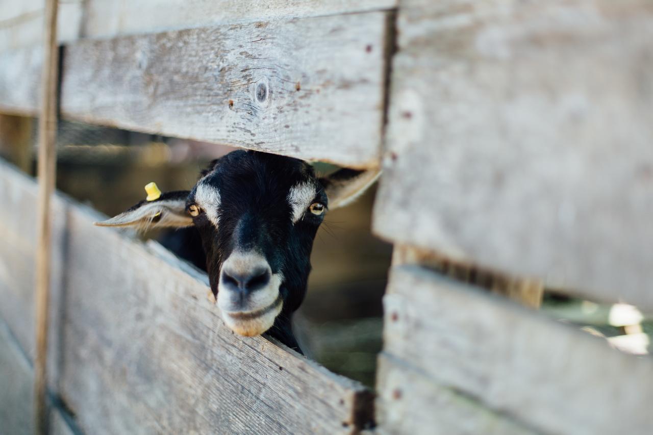 Agriturismo Lillastro Braccagni エクステリア 写真