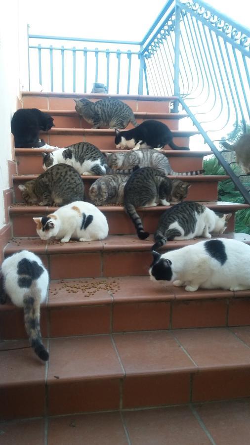 Agriturismo Lillastro Braccagni エクステリア 写真