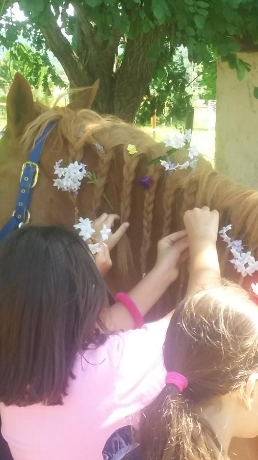 Agriturismo Lillastro Braccagni エクステリア 写真